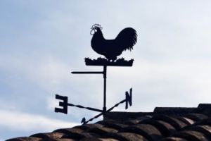 VREMEA continuă să ne facă SURPRIZE! TEMPERATURI nesperat de MARI pentru luna decembrie 