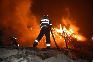 Zeci de animale, arse de vii într-un incendiu provocat de o mână criminală