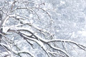 Estimarea evoluţiei  valorilor termice şi a precipitaţiilor până pe 7 ianuarie 2018