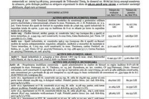 ANUNŢ DE VÂNZARE (P)