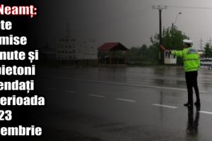 IPJ Neamţ: Șapte permise reţinute şi 13 pietoni amendaţi în perioada 20-23 decembrie