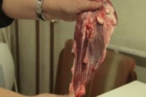 Trichineloza a facut cinci victime in Prahova. Carnea de porc pe care au consumat-o de Craciun era infestata