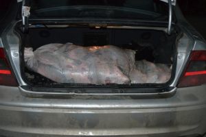 Tulcea. 140 de kg de peste, descoperite in trafic. Politistii de frontiera au confiscat marfa