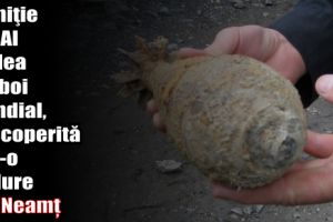 Muniţie din Al Doilea Război Mondial, descoperită într-o pădure din Neamţ