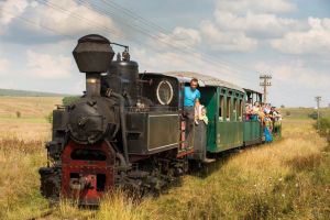 Mocăniţa nu mai şuieră pe Valea Hârtibaciului în 2017. Ce şanse sunt să avem un traseu mai lung