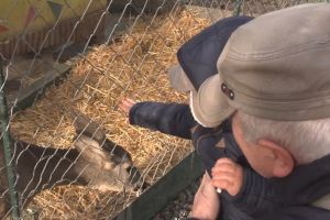 Chiar dacă afară vremea este primăvăratică, la Zoo, pregătirile pentru iarnă sunt în toi