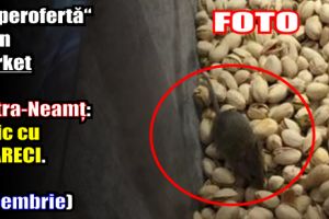 „Superofertă“ la un market din Piatra-Neamţ: fistic cu şoareci. Fotografii făcute astăzi, 28 decembrie 2017