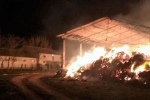 Pompierii în alertă. ARDE HERGHELIA MANGALIA