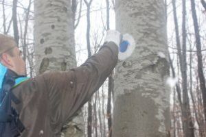 Salvamontiştii covăsneni sunt la datorie şi de sărbători