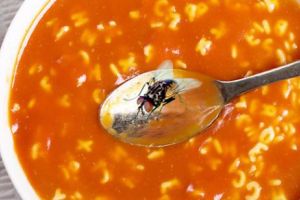 ANSVSA a aplicat sute de amenzi şi a închis zeci de unităţi