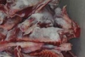 Bou fără acte, confiscat de poliţişti