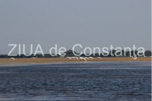 Anunt important: Administratia Rezervatiei Biosferei Delta Dunarii, despre activitatea de pescuit comercial