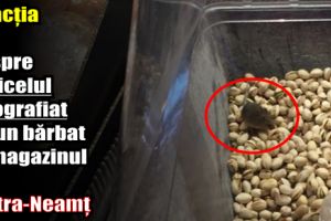 Reacţia Lidl despre şoricelul fotografiat de un bărbat în magazinul din Piatra-Neamţ