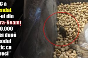 Protecţia Consumatorului a amendat Lidl-ul din Piatra-Neamţ cu 10.000 de lei după episodul „fistic cu şoareci”