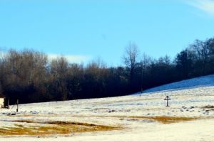 VIDEO: Valea Idicelului, oază de frumos la poalele Călimanilor