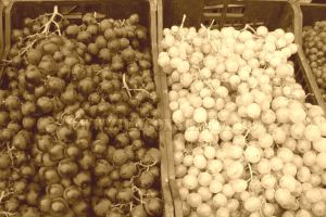 #citesteDobrogea: Vinurile dobrogene de altadata. Lucrari din Biblioteca Virtuala ZIUA de Constanta