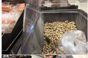 INCREDIBIL! Un soarece in galantarul cu fistic, la LIDL!