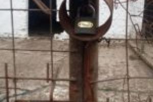 SCANDALOS. Bani sifonaţi şi crime în masă la padocul din Caransebeş?!