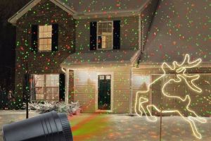 Tânăr din comuna Șona, cercetat după ce a furat de la vecini un proiector cu laser pentru exterior, specific sărbătorilor de iarnă