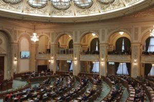 Informează-te! Ce legi au adoptat în acest an senatorii?