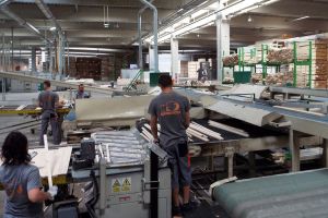 Marii angajatori din judeţul Bacău au anunţat majorarea veniturilor brute ale salariaţilor