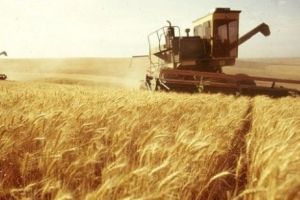 VESTE BUNĂ pentru TOȚI ROMÂNII