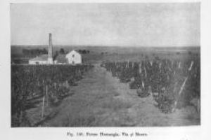 #citesteDobrogea: Om bogat, om sarac in Dobrogea. Lucrari din Biblioteca Virtuala ZIUA de Constanta