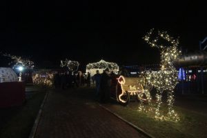 Pe asta n-ati mai auzit-o! Plugusorul militarilor: Aho, Aho dragi militari/ Grade mici sau grade mari/Chiar si cei care aveti/Stelele pe epoleti!