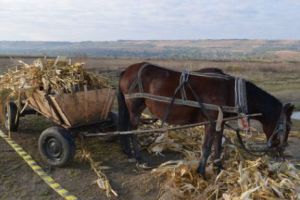 Petre Daea vrea să dea 2.000.000 lei unei reviste rurale