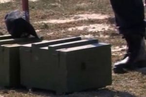 Muniţie neexplodată din Al Doilea Război Mondial descoperită în pădurile din judeţul Neamţ