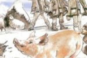 Pluguşorul bănăţean: Ştim că vă umpleţi de bani!