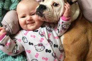 Boala de care sunt scutiţi cei care îşi petrec copilăria cu pisici şi câini