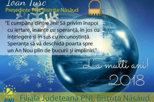 Ioan Turc: Anul Nou să vină cu decizii drepte, aducătoare de armonie şi prosperitate