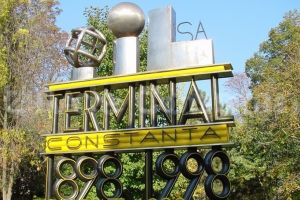 Oil Terminal, declaratii de avere: Monica-Silvia Ciocoiu, sef Birou Medicina Muncii, detine doua apartamente, doua autoturisme si trei conturi bancare (documente) 