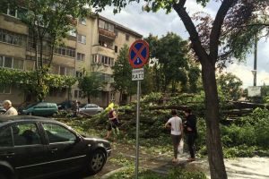 Mesajul presedintelui Klaus Iohannis pentru timiseni