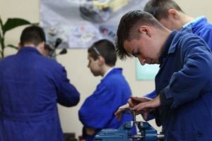 Burse profesionale pentru elevii care frecventează învăţământul profesional, inclusiv dual
