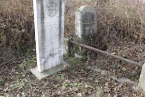 L-am găsit pe Adolf Hittler! Îşi doarme somnul la cimitirul evreiesc Filantropia 