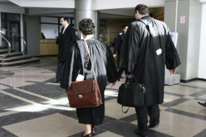 Constanta. Caine taiat cu sabia! Ce au decis magistratii. Dosar important pentru justitia din Romania