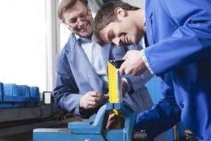 Guvernul ajută tinerii din învăţământul profesional