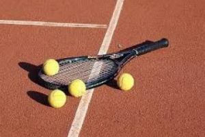 Echipa Simona Halep - Monica Niculescu s-a retras de la Wuhan