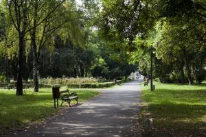 Planuri putine pentru parcurile Timisoarei, in 2018