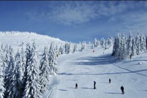 Români izolaţi între zăpezi în Serbia. Le-au fost furate maşinile în noaptea de Revelion