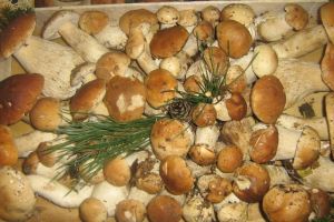 Control al poliţiştilor printre vânzătorii de ciuperci, soldat cu scandal, amenzi şi ...