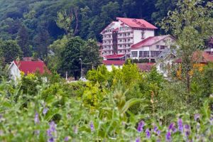 Hotel Orizont-Cozia din Calimanesti, atmosfera calda si primitoare la preturi rezonabile