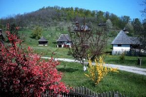 Muzeul Satului, o COMOARA a judetului Valcea
