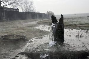 Ce-a rămas… mai merită?  Dresul cu apă de izvor