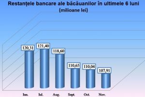 Credite mai mari, restanţe mai mici în băncile din Bacău