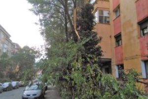 Alo, dom’ primar? Suntem noi, baimarenii. Furtuna a trecut, cand faceti curat?