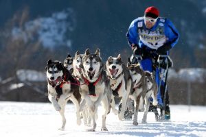 Concursul de sprint pe zăpadă ”Drumul Romanilor”, ediţia a II-a