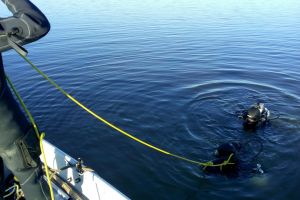 A zecea zi de căutare a tânărului dispărut de Crăciun la Malu Roşu